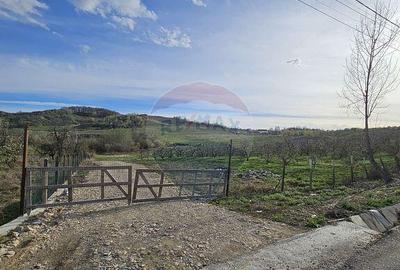 15 parcele de 1000 mp de vanzare in Breaza Prahova- toate... - 4