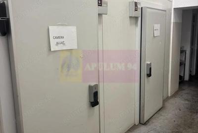 Inchiriere spatiu comercial in zona Chisinau-Pantelimon-Lacul Fundeni - 1