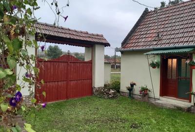 Casa de vanzare in sat Capalnas, comuna Birchis - 10