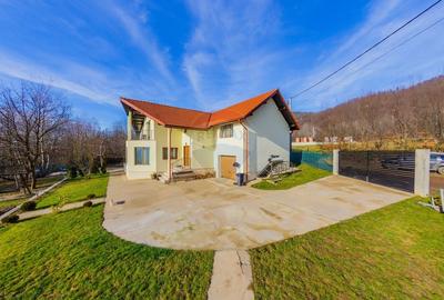 VILA DE VIS CU TEREN GENEROS, DE VANZARE - 41