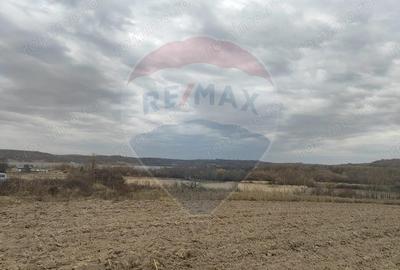 Teren de 11900 mp, în Fârdea - 2