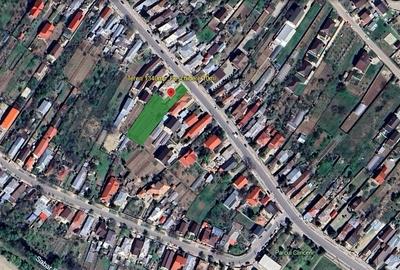 Vanzare teren Clinceni strada Principala Vanzare teren Clinceni strada Principala - 16