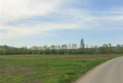 RECO Teren extravilan in Dragesti spre Stracos 6629mp - 2