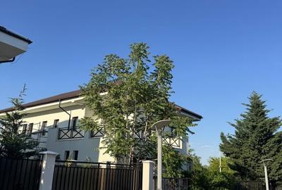 Casă cu 4 camere în Crevedia - 4