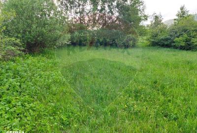 Teren de 4223 mp, în Bran - 9