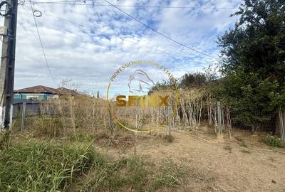 Teren 3905 mp Manasia, pozitie la drum judetean - 5