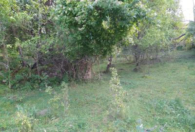 Teren de 18452 mp, în Moroeni - 5