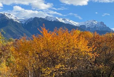 Teren intravilan Sohodol, priveliste catre Bucegi, Piatra Craiului,Magura Codlei - 1