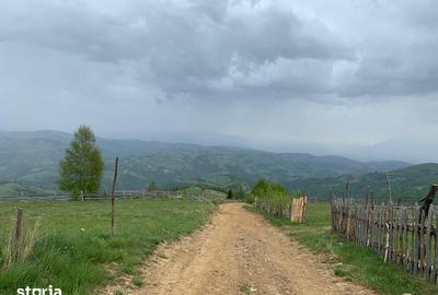 Teren de 20340 mp, în Crizbav - 6