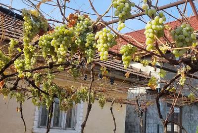 Casa de vanzare cu teren Sat Dumbraveni, Comuna Crasna (Gorj) - 2