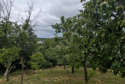 Casă individuală cu 5 camere cu Teren 1200 Mp în Mihai Bravu - 11