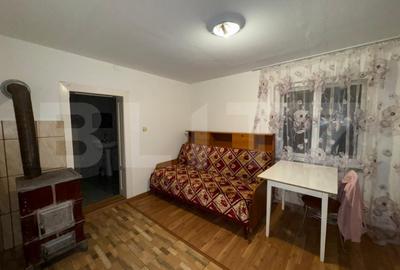 Casă cu 4 camere cu Teren 5594 Mp în Criș - 15