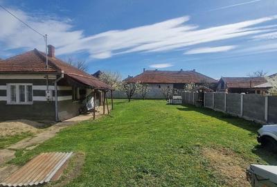 Casă cu 1 camere cu Teren 593 Mp în Simeria - 5