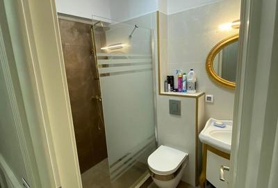 Apartament cu 4 camere decomandat, mobilat în Chitila - 9