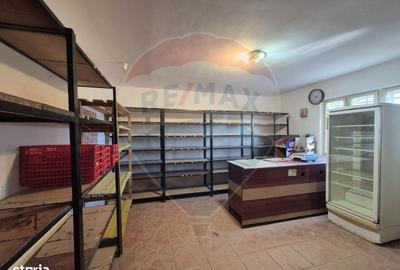 Casă cu 4 camere în Nănești - 3