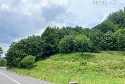 TEREN INTRAVILAN DEOSEBIT, ZARNESTI, VALEA BARSEI TEREN INTRAVILAN DEOSEBIT, ZARNESTI, VALEA BARSEI - 1