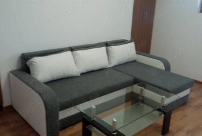 Apartament cu 2 camere nedecomandat în Parcul Carol - 2