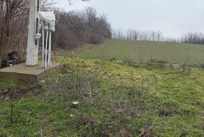 Teren Construcții extravilan de 6700 mp, în Central - 1