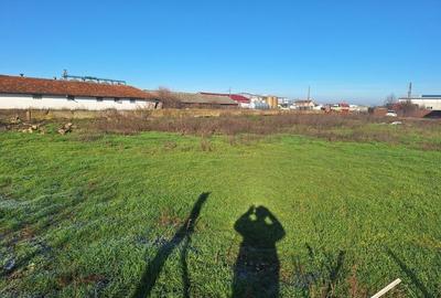 Teren de 6285 mp, în Tărian - 6