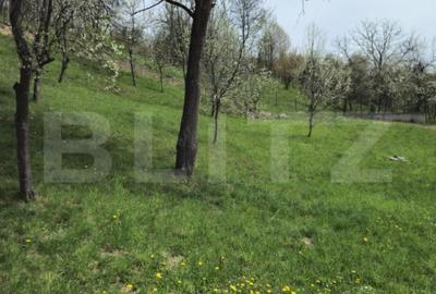 Casă cu 5 camere cu Teren 3000 Mp în Runcu - 6