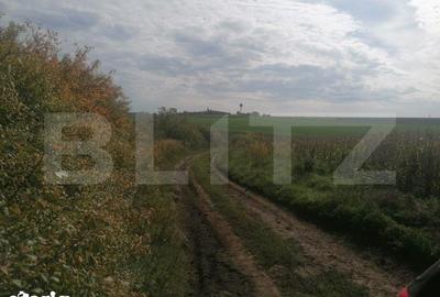 Teren de 3000 mp, în Miroslava
