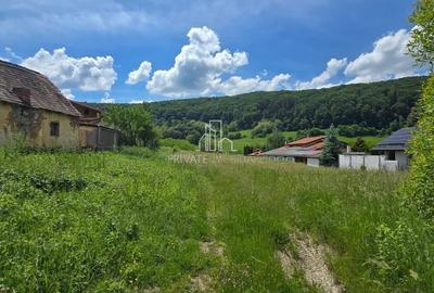 Teren de 3400 mp, în Biertan - 4