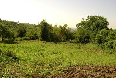 Teren de 3150 mp, în Tohani - 3