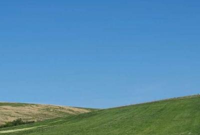 Teren de 10000 mp, în Rogova - 3