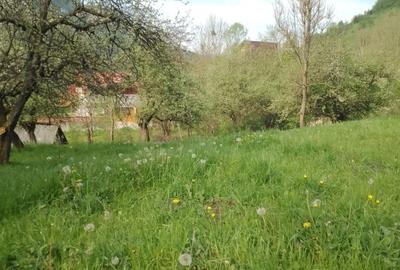 Teren Construcții intravilan de 6000 mp, în Vidra - 3