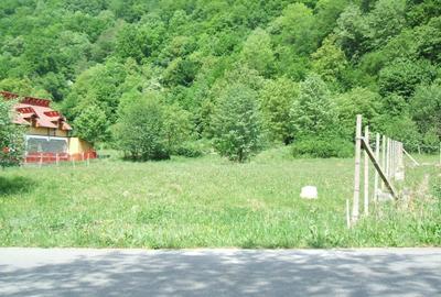 Teren de 1040 mp, în Pantelimon - 7