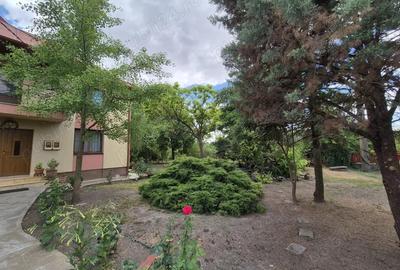 Casă cu 7 camere cu Teren 1600 Mp în Dârvari - 15