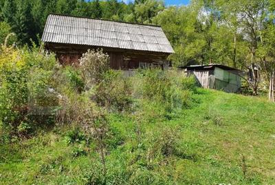 Teren de 3015 mp, în Arieșeni - 3