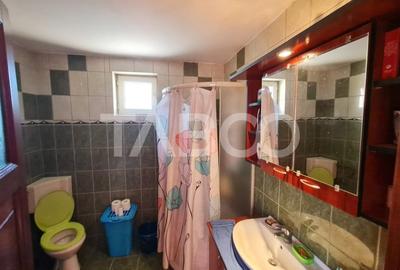 Casa de vanzare in Sebes langa lac - 4