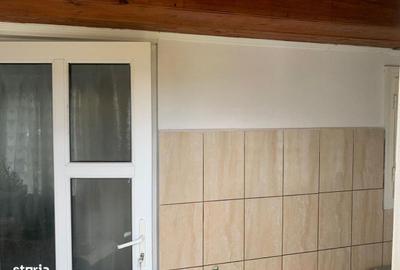 Casă cu 3 camere cu Teren 7600 Mp în Putna - 20