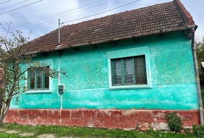 Casă cu Teren 2200 Mp în Bara - 2