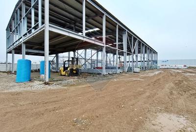 Spațiu industrial, de 3,300 mp, în Mogoșoaia - 1