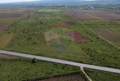 Teren agricol extravilan de 33000 mp, în Bolotești - 5