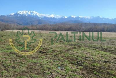 Teren de 1737 mp, în Chirpăr - 4