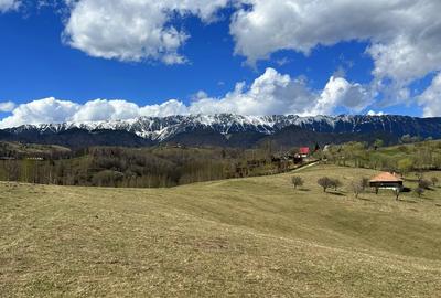 Teren Construcții extravilan de 1550 mp, în Moieciu - 3