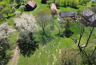 Teren Construcții intravilan de 10279 mp, în Predeluț - 6