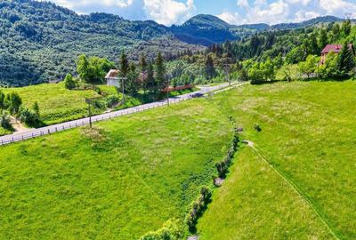 Vanzare teren Fundata - priveli?te panoramica! - 8