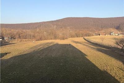 Casă individuală cu 4 camere cu Teren 8400 Mp în Pătrăuți - 17