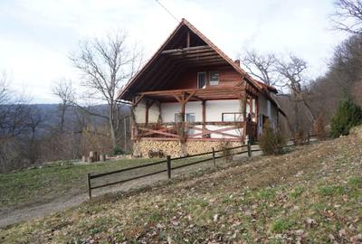 Casă cu 4 camere în Central - 2