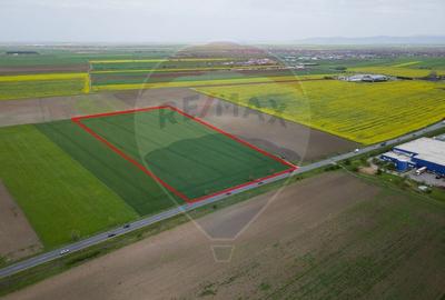 Teren 30,000mp Arad / Soseaua Centura Arad Nord - 2