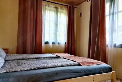 PF vand 3 case de vacanta Cabana Barlogul Colibita - 4