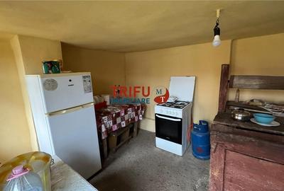 Casă de vânzare 1367 mp teren în Cricău - 9