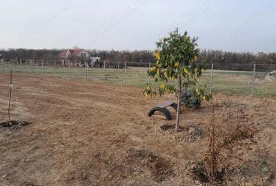 Teren de 821 mp, în Alparea - 3