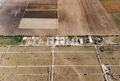 Teren de 13750 mp, în Sud - 9