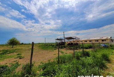 Domeniu, 9,5 ha, 25 KM de Timisoara - 15