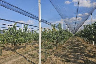 Spațiu comercial, de 100,000 mp, în Vest - 3